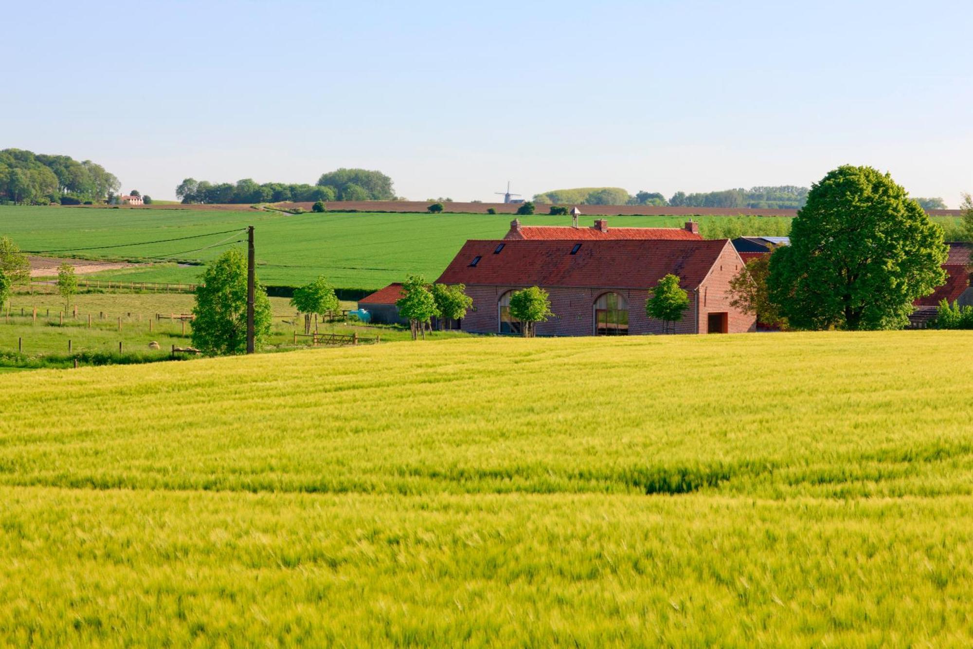 B&B De Deugdzonde Sint-Denijs Kültér fotó